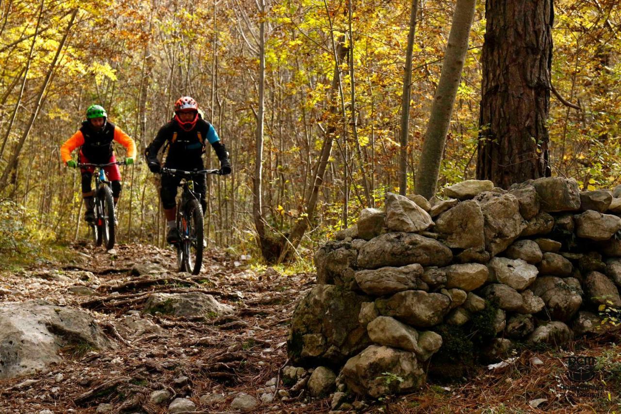 Faedis Torre Del Grifone Nel Medioevo Di Cividale Del Friuliヴィラ エクステリア 写真