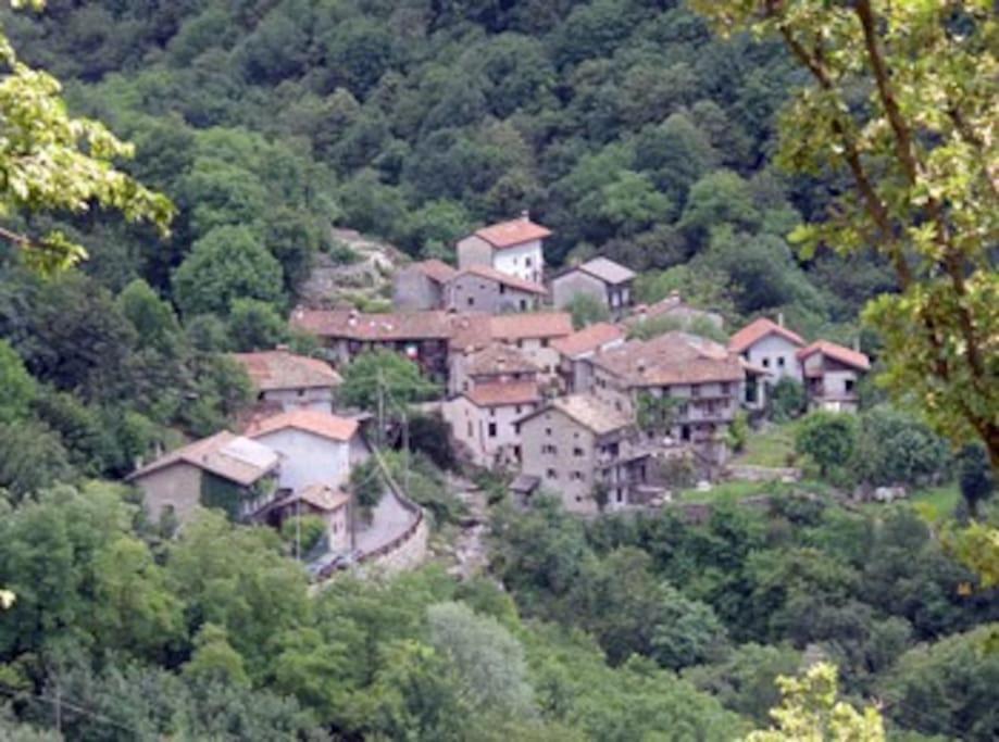 Faedis Torre Del Grifone Nel Medioevo Di Cividale Del Friuliヴィラ エクステリア 写真