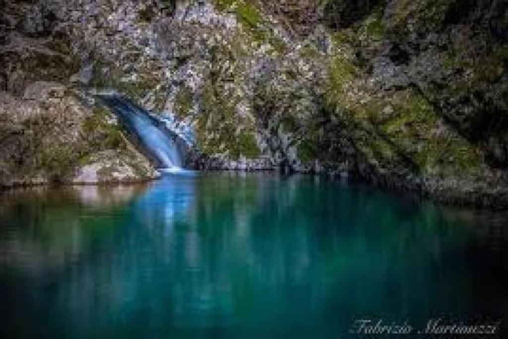 Faedis Torre Del Grifone Nel Medioevo Di Cividale Del Friuliヴィラ エクステリア 写真