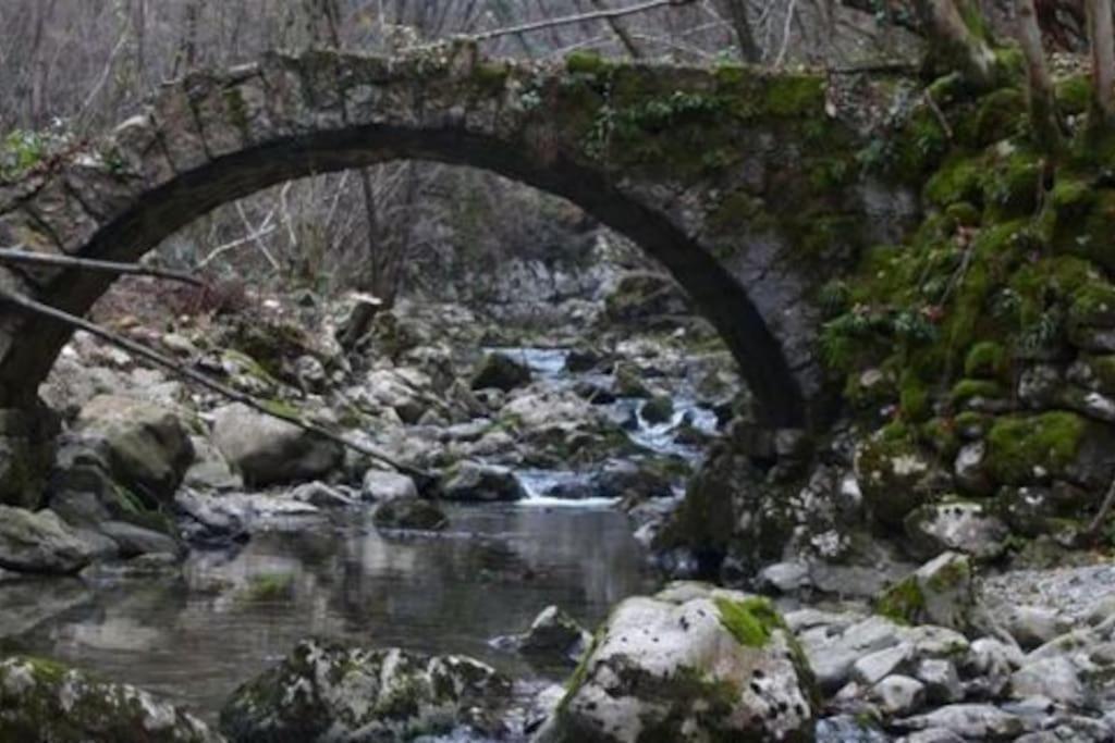 Faedis Torre Del Grifone Nel Medioevo Di Cividale Del Friuliヴィラ エクステリア 写真